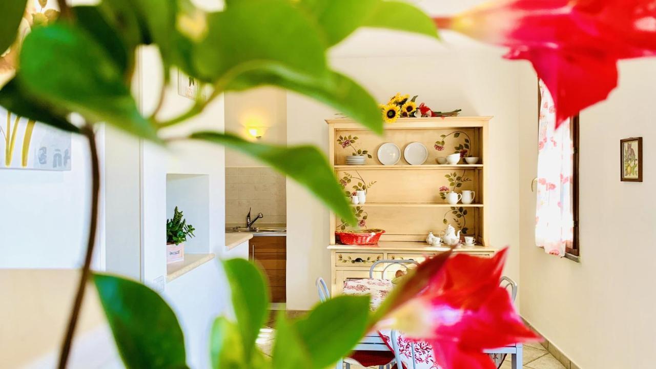 Casa In Maremma Tuscany Village สการ์ลีโน ภายนอก รูปภาพ