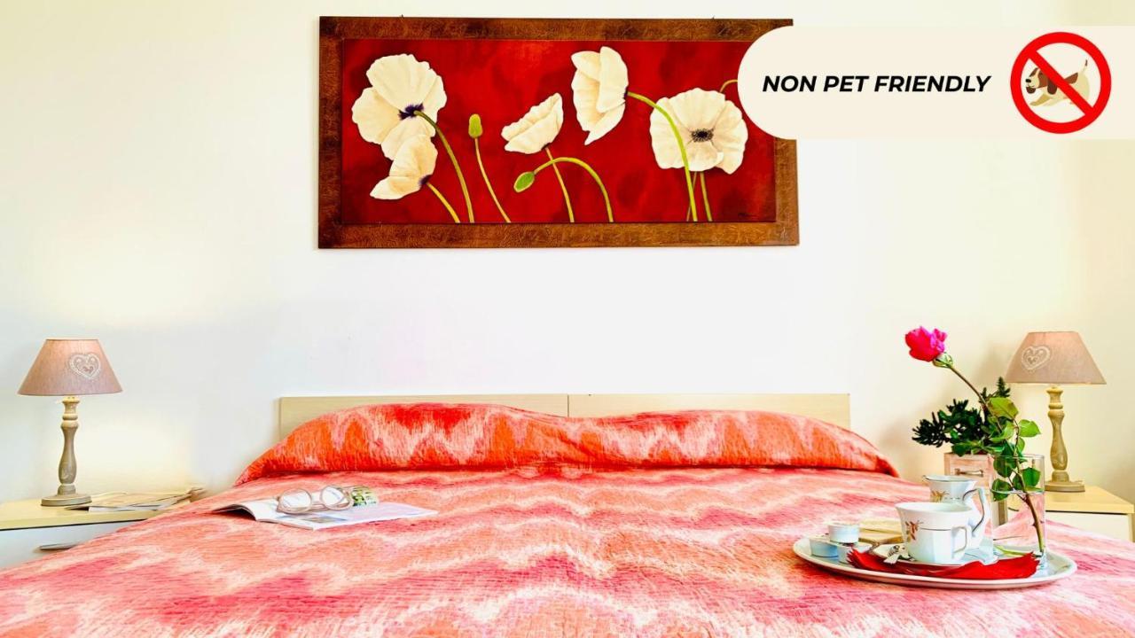 Casa In Maremma Tuscany Village สการ์ลีโน ภายนอก รูปภาพ