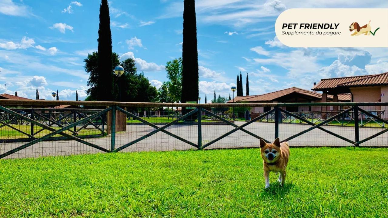 Casa In Maremma Tuscany Village สการ์ลีโน ภายนอก รูปภาพ